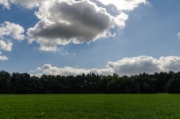 Bundesjugendspiele 2012
