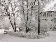 Schnee 2022