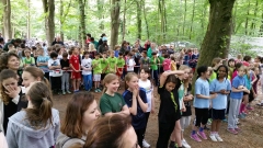 Waldlauf 2015
