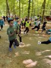 Waldlauf26